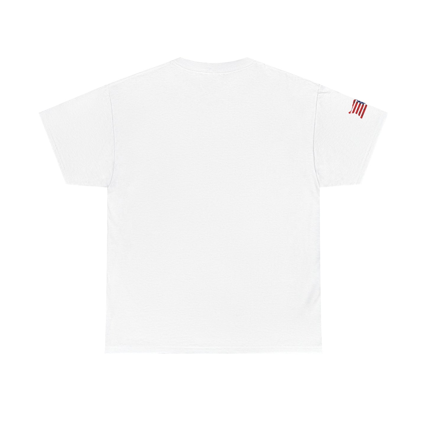 USA Olympic Graphic Tee